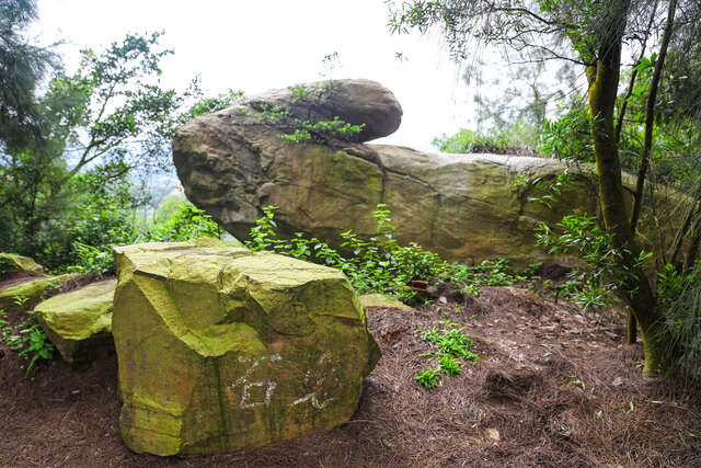 Stone Rabbit