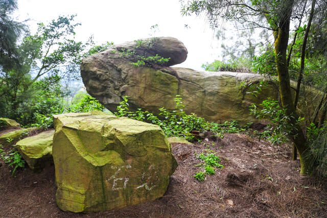 Stone Rabbit