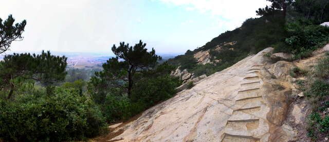 Doumen Ancient Trail