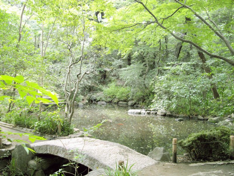 Otomoyama Park