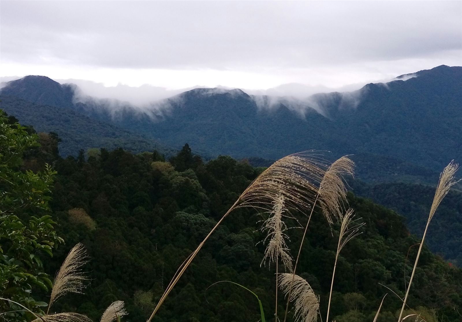 Dongyanshan National Forest Recreation Area